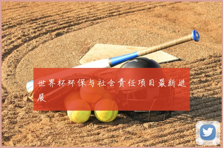 世界杯环保与社会责任项目最新进展